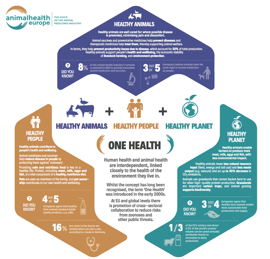 Infographic_OneHealth.png