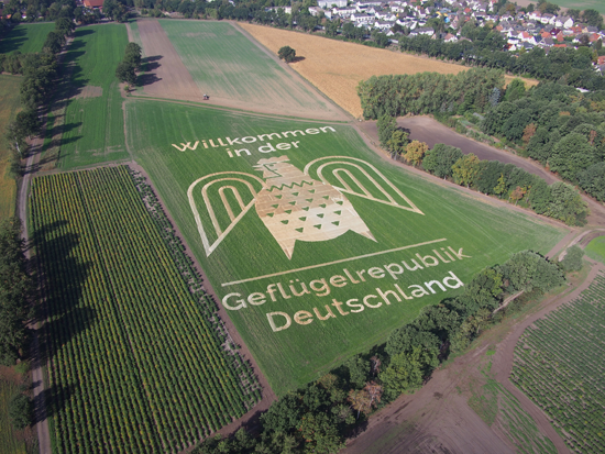 XXL-Logo-Gefluegelrepublik-Deutschland.png